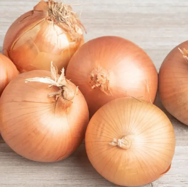 Onion Pink